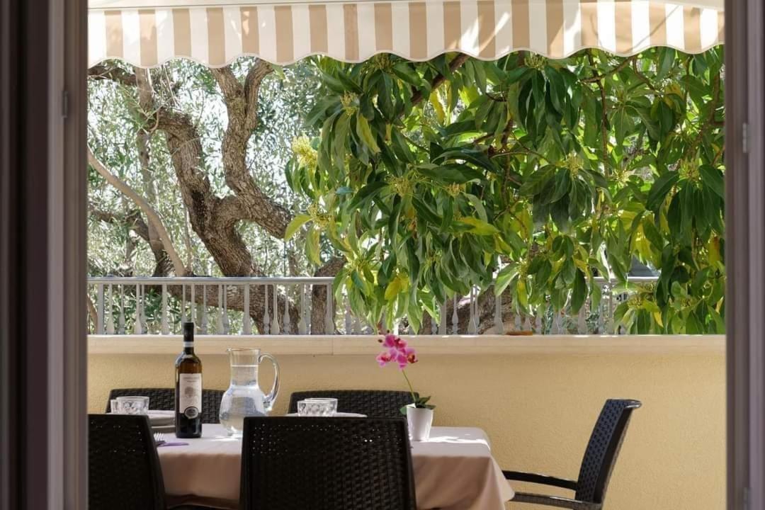 Case Vacanze La Quercia Marina di Camerota Kültér fotó